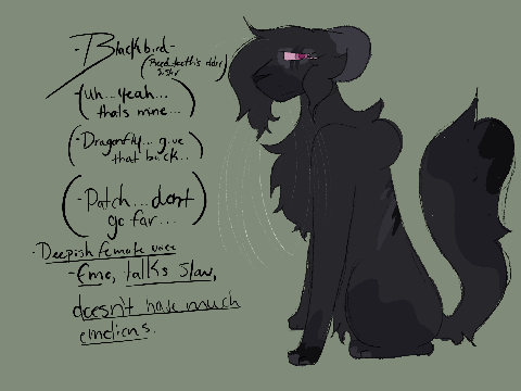 ☆ Audition ☆ // Blackbird & Brandy // ☆