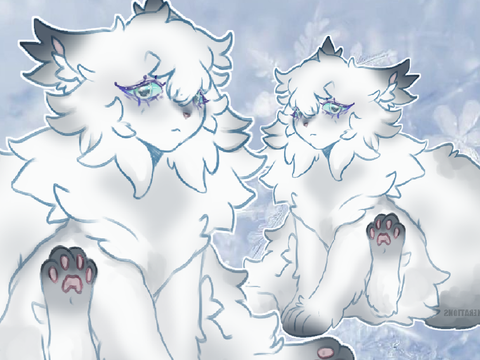 *❆ ₊ Coldkit Application