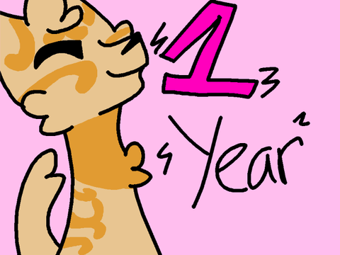 ONE YEAR ON SCRATCH :)