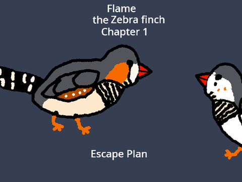 Flame the Zebra Finch 1: Escape Plan