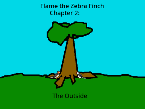 Flame the Zebra Finch 2: The Outside