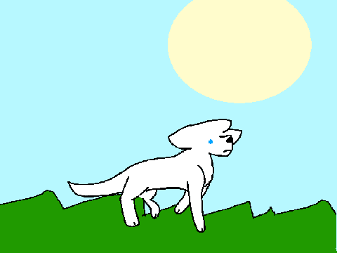 walking cycle