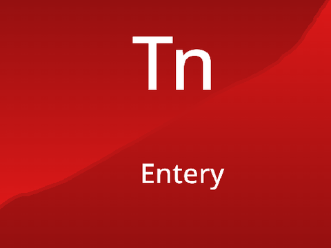 Ch. 61 TNE entery