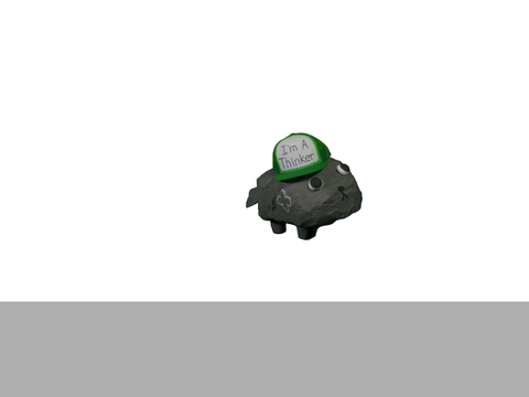 FLYING PEBBLE HAS HIS THINKING CAP