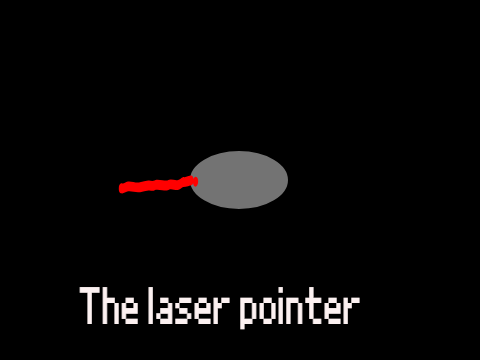 The laser pointer