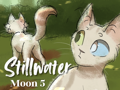 Moon 5 | Stillwater
