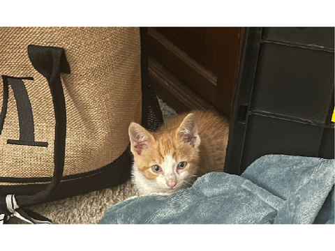 NEW BABY!!!
