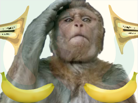 Official TCI Anthem - the Primate's Pledge