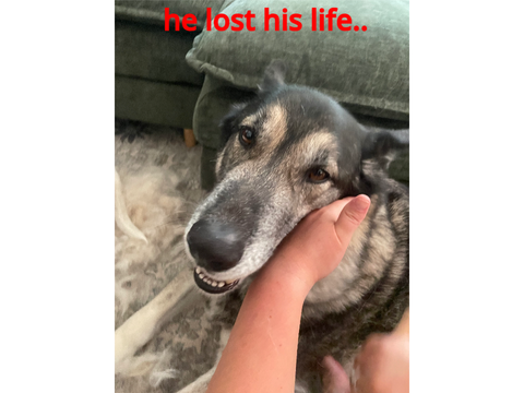 he's gone.