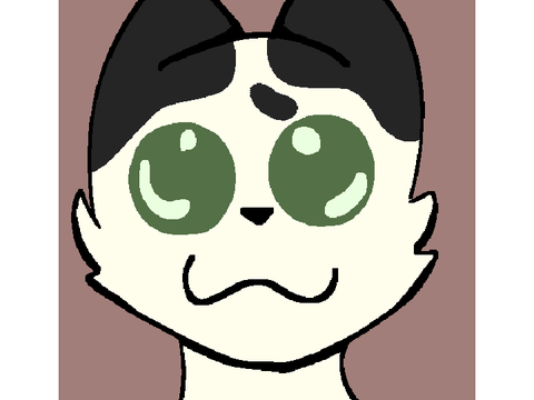 New profile pic