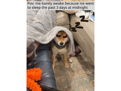 Meme