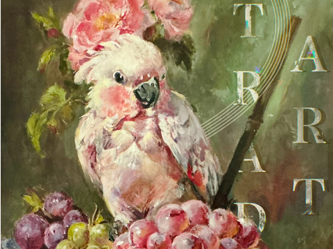 ⋘  .birbs. ⋙