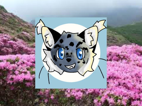 New profile pic!