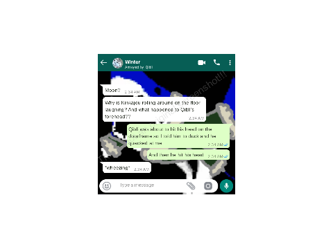 extended bio + chatroom