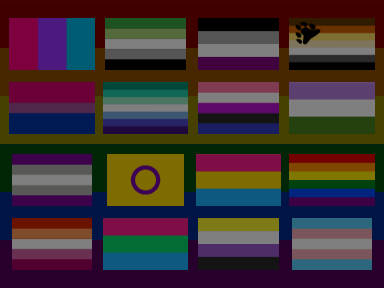 pride flags band