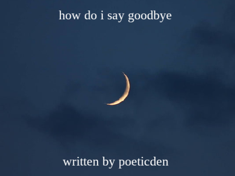 how do i say goodbye poem