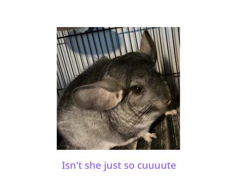 Go Check on Coco!