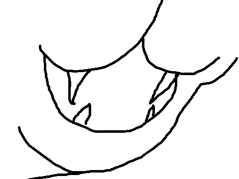 CHOMP blank
