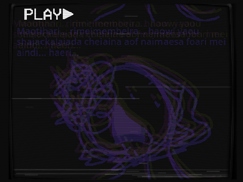 VHS 13 -