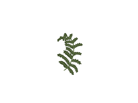 Fern sprite :)