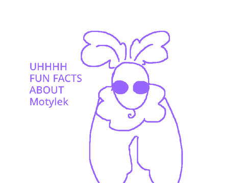Fun facts abt motylek