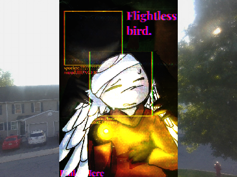 Flightless bird.