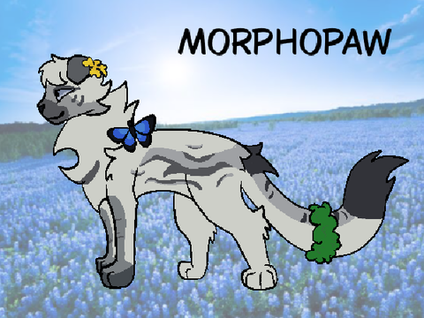 Morpho's Misty Meadows