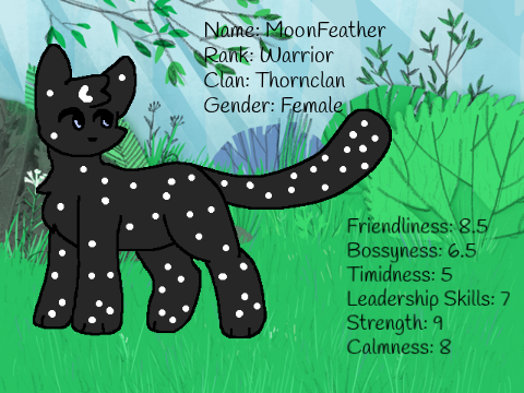 MoonFeather, a ThornClan warrior