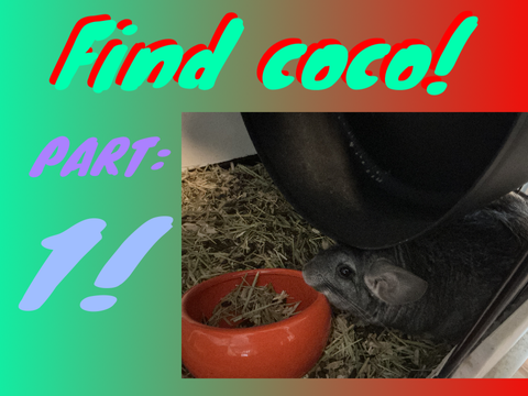 FIND COCO! Part 1!