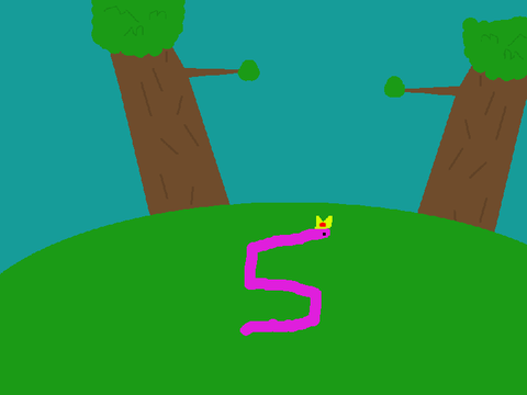 worm camp is back for the summer