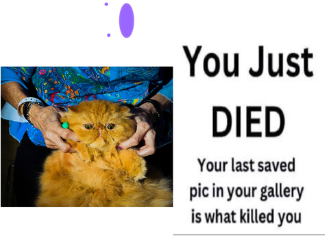 What? Oh… oh NO!