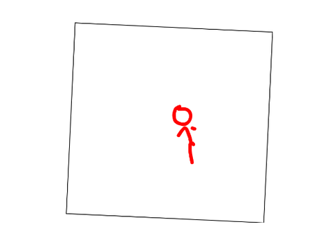 perspective test