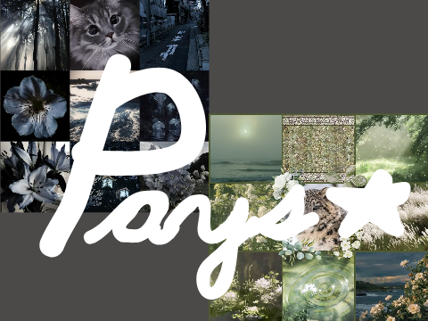 Ota pays ( Hope you love them! )