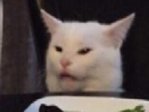 WE LOVE THIS CAT