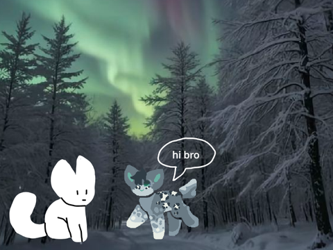 [ 006 ] / borealis ... frigidkit jrp project / 