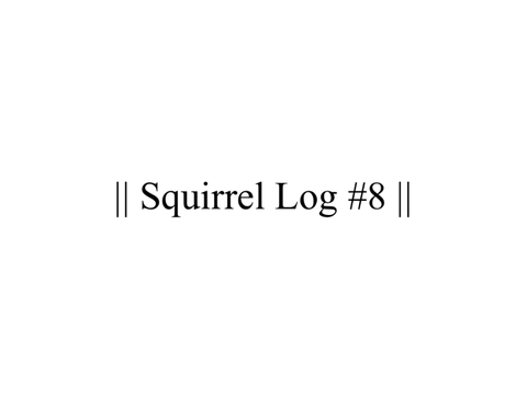 || Squirrel Log #8 ||