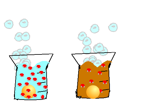 Scratch Egg Model