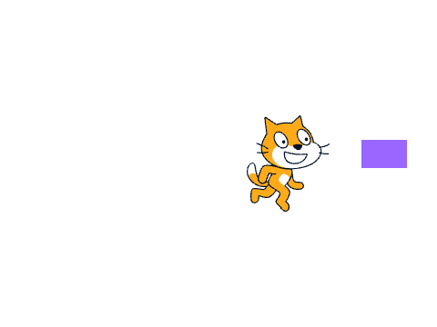 Scratch cat test
