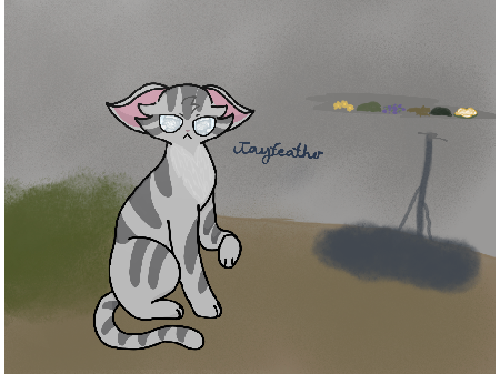 My entry-Jayfeather