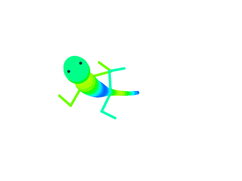 lizard 