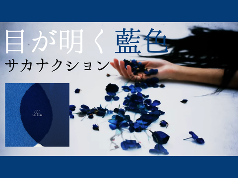 『目が明く藍色』サカナクション