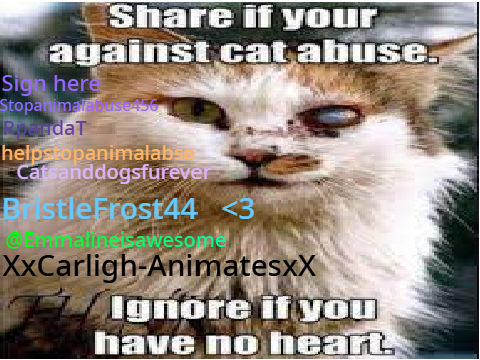 sign here if you hate cat abuse!!! remix remix