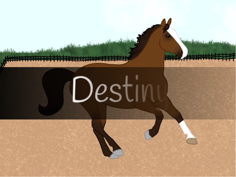 Destiny