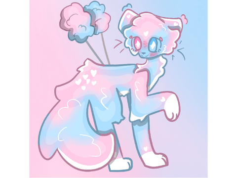 CIRCUS DTAE