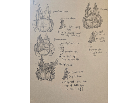 gens characters' fur designs