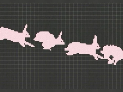 Project thumbnail