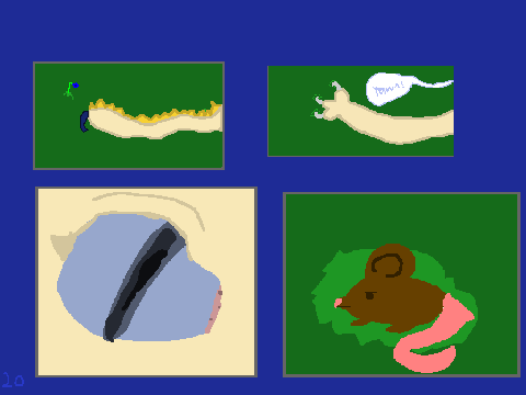  Dragon cats-sneek peak!