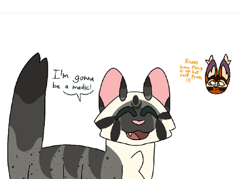 TMA x Warriors au