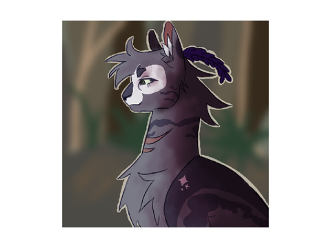 Bouncestar's Ref ★ Impending Choices