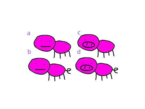 best pig design?